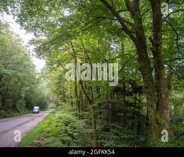 Auto auf Landstraße im Tal mit Wald in der Nähe Parc naturel régional d'Armorique in der Nähe von huelgoat Stockfoto