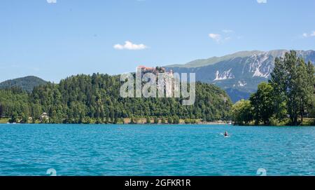 Herrlicher Blick auf den Bleder See mit Blick auf die Burg, die Julischen Alpen, Slowenien Stockfoto