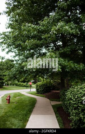 Gehweg Blick auf die grünen Bäume in Ohio Stockfoto