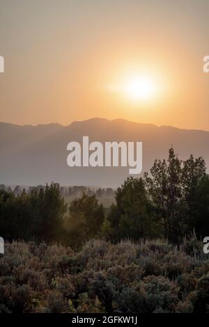 Kalifornischer Wildfeuerrauch bei Sonnenaufgang im Grand Teton National Park, WY. Stockfoto