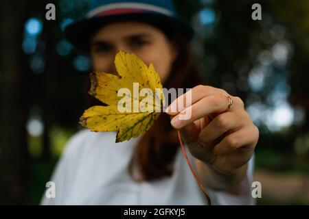 Unschärfe-Effekt bei weiblicher Hand mit gelbem, trockenem Blatt. Hallo Herbst. Frauen stehen im Herbstpark. Oktoberstimmung. Ich liebe den Herbst. Weichzeichnen. Nahaufnahme, Nahaufnahme. Herbst-Bac Stockfoto