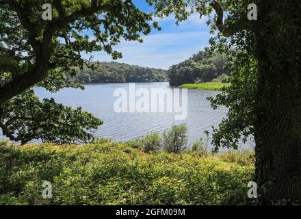 Loe oder Loe Pool, Cornwalls größter natürlicher See, in der Nähe von Loe Bar, in der Nähe von Helston, Cornwall, England, Großbritannien Stockfoto