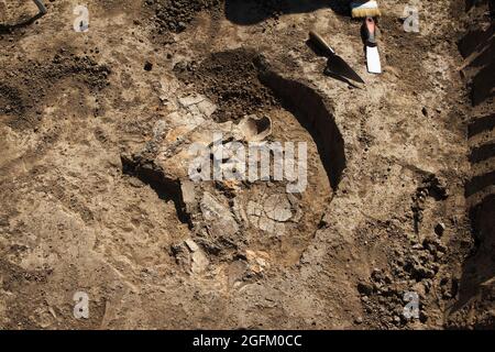 Archäologische Ausgrabungen, Archäologen arbeiten, graben ein altes Tonartefakt mit speziellen Werkzeugen im Boden Stockfoto