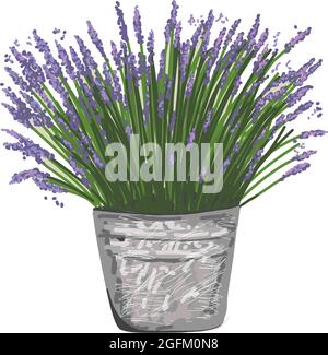 LAVENDEL IN EINEM EIMER. STIL PROVENCE. Vektorgrafik im Stil der Provence. Stock Vektor