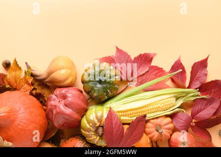 Weihnachtsbanner mit Herbsternte, Kürbissen, Maiskolben, bunt fallenden Weintraubenblättern auf orangefarbenem Hintergrund. Thanksgiving Day und Vorbereitung auf Hallo Stockfoto
