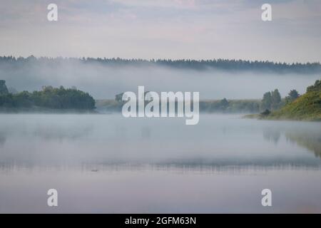 Nebel rollt im Morgengrauen über den grasbegrasten Flussufern, Oka-Fluss, Kaluga-Region, Russland Stockfoto