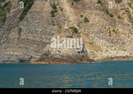 Klippen und Mittelmeer (Scoglio Ferale), Küste des Nationalparks Cinque Terre, Campiglia Tramonti, La Spezia, Ligurien, Italien, Europa. Stockfoto