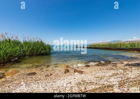 Strand und Holzsteg mit Sonnenschirm und leeren Liegestühlen am Gardasee, zwischen den kleinen Dörfern Lazise, Bardolino und Cisano. Italien. Stockfoto