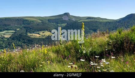 Blick auf Banne d'Ordanche, Vulkane der Auvergne, Departement Puy de Dome, Auvergne Rhone Alpes, Frankreich Stockfoto