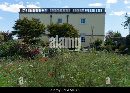 Der National Botanic Garden of Wales, Llanarthney, Carmarthenshire, Wales, Großbritannien, verfügt über das größte Gewächshaus der Welt. Stockfoto