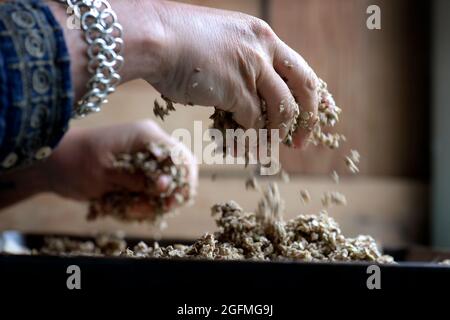 Frühstück Müsli Foto Janerik Henriksson / TT Code 10010 Stockfoto