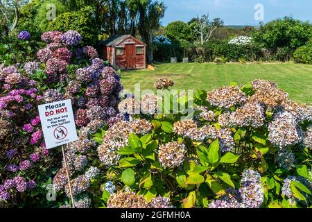 Baltimore, West Cork, Irland. August 2021. An dem Tag, an dem die Temperaturen auf 26 Grad Celsius steigen werden, wird der heißeste Tag dieser Woche erwartet, und ein Schild in einem Garten gibt einen Einblick in die Probleme, mit denen der Eigentümer konfrontiert ist. Quelle: AG News/Alamy Live News Stockfoto