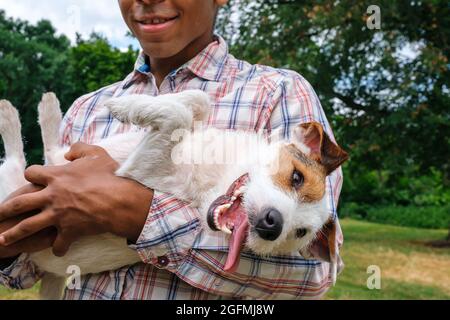Mann hält im Sommer draußen einen lustigen Jack Russell Terrier in den Armen Stockfoto