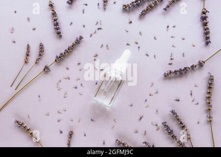 Flasche natürliche Hautpflege-Lotion und Lavendelblüten auf hellem lila Hintergrund. Draufsicht, flach liegend. Stockfoto