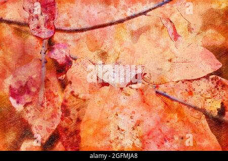 Nahaufnahme von roten Herbstblättern mit Regentropfen. Schöne Blätter von Cotinus, der Rauchbusch oder Rauchbusch in einem Novemberpark. Digitale Aquarellmalerei Stockfoto