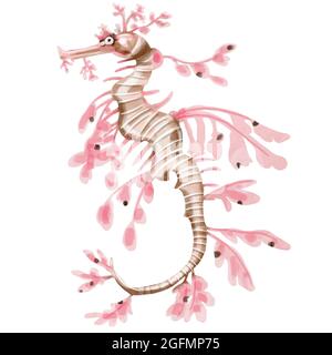 Handbemaltes Aquarell-Seepferd. Es eignet sich perfekt für Karten, Vorlagen-Design, Postkarten. Stockfoto