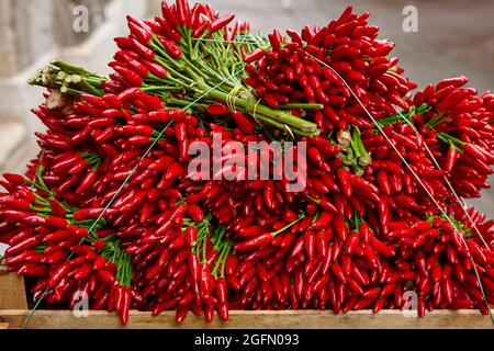 Haufen geernteter roter Chilischoten auf dem Marktstand Stockfoto