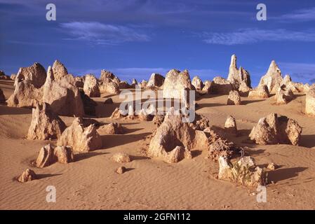 Western Australia. New Norcia-Region. Die Pinnacles Felsformationen. Stockfoto