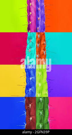 Collage zeitgenössischer Kunst. Leuchtende, lebendige Farben. Vertikale Composite-Bild von Stücken von bunten Kaktus, Kakteen isoliert über farbigen Hintergrund Stockfoto
