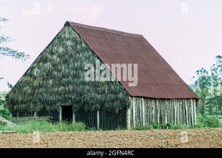 Tabaktrocknungshaus in der Nähe von Vinales, Kuba Stockfoto