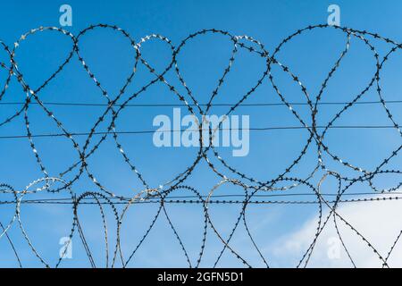 Stacheldraht gegen den blauen Himmel. Coils aus Stahldraht auf dem Zaun des verbotenen Territoriums. Hochwertige Fotos Stockfoto