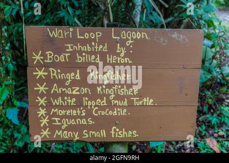 Liste der Tiere rund um den Wari Loop Wanderweg im Cockscomb Basin Wildlife Sanctuary, Belize. Stockfoto