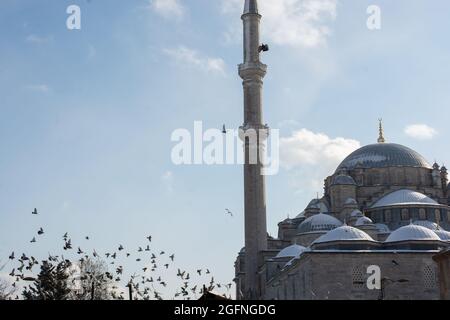 Taube fliegt um die Minarette der Moschee herum Stockfoto