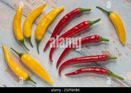 Gelbe und rote Chilischoten. Stockfoto