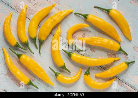 Peruanische gelbe Aji-Chilis. Stockfoto