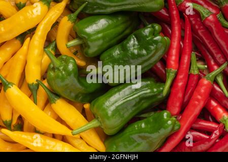 Gelbe ( Aji Limon ), grüne ( Padron ) und rote ( Ring of Fire ) Chilischoten. Stockfoto