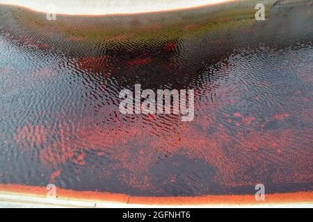 London, Großbritannien. August 2021. Tieraufstand-Aktivisten füllten und bedeckten die Brunnen am Victoria Memorial vor dem Buckingham Palace mit gefälschtem Blut, um gegen die Nutzung des riesigen Landes durch die königliche Familie für die Tierzucht und Jagd zu protestieren. (Kredit: Vuk Valcic / Alamy Live News) Stockfoto