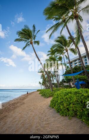 Ein Einzelgänger spaziert am frühen Morgen durch den Sand und hinterlässt am Ka'anapali Beach in Lahaina, Maui, Hawaii nichts als Fußabdrücke. Stockfoto