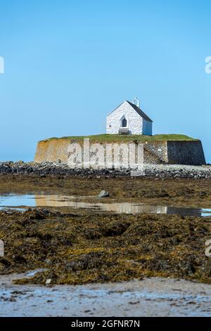 St. Cwyfan mittelalterliche Kirche, Llangadwaladr, Anglesey, Nordwales. Das Hotel liegt auf der kleinen Gezeiteninsel Cribinau, es ist bekannt als die Kirche im Meer. Stockfoto