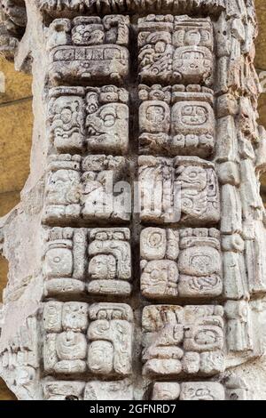 Detail der maya-Hieroglyphen an der archäologischen Stätte Copan, Honduras Stockfoto