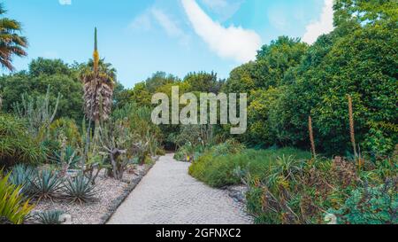 PORTO, PORTUGAL - Jul 05, 2021: Eine geschmückte Gasse mit üppiger Botanik im Botanischen Garten von Porto. Portugal. Stockfoto