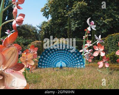 PORTO, PORTUGAL - 05. Jul 2021: Die dekorativen Blumen und der blaue Pfau im Botanischen Garten von Porto, Portugal Stockfoto