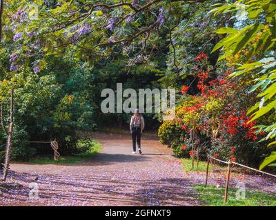 PORTO, PORTUGAL - 05. Jul 2021: Ein Mädchen beim Spaziergang im Botanischen Garten von Porto, Portugal Stockfoto
