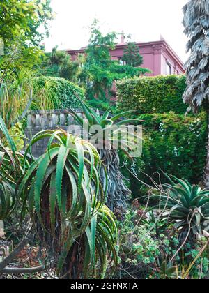 PORTO, PORTUGAL - 05. Jul 2021: Die vertikale Aufnahme des Botanischen Gartens von Porto, Portugal und eines rosa Gebäudes Stockfoto