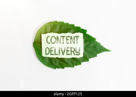 Schreiben mit Anzeige von Text Content Delivery. Internetkonzept Geographisch verteiltes Netzwerk von Proxyservern spart Ideen und Pläne für die Umgebung Stockfoto