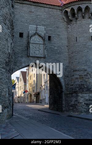 Tallinn, Estland: 6. August 2021: Das große Küstentor im historischen Stadtzentrum von Tallinn Stockfoto