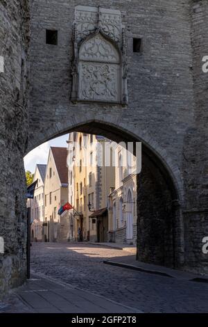 Tallinn, Estland: 6. August 2021: Das große Küstentor im historischen Stadtzentrum von Tallinn Stockfoto