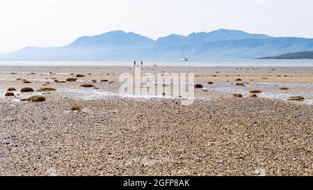 St Ninian's Bay Hundespaziergänger mit den Hügeln von Arran in der Ferne, Isle of Bute, Argyll und Bute, Schottland, Großbritannien Stockfoto