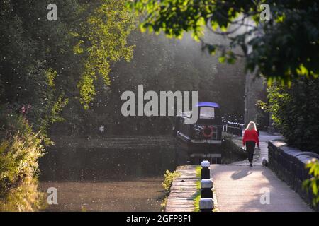 Frau, die den Rochdale Canal entlang läuft, Sommerabend, Hebden Bridge, Calderdale, West Yorkshire Stockfoto