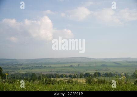 Ein Blick auf die Landschaft von Yorkshire im Sommer in der Nähe von Leyburn, North Yorkshire, England, Großbritannien Stockfoto