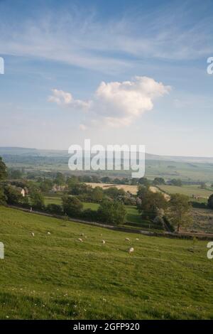 Ein Blick auf die Landschaft von Yorkshire im Sommer in der Nähe von Leyburn, North Yorkshire, England, Großbritannien Stockfoto