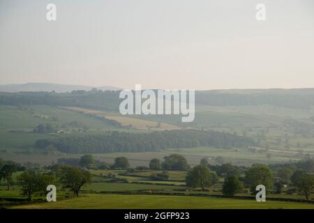 Ein Blick auf die Landschaft von Yorkshire im Sommer in der Nähe von Leyburn, North Yorkshire, England, Großbritannien Stockfoto