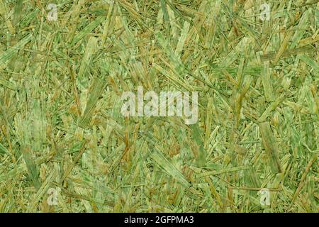 Grün strukturierte Ausrichtung Strangbrett Hintergrund Nahaufnahme für Banner und Design. Stockfoto