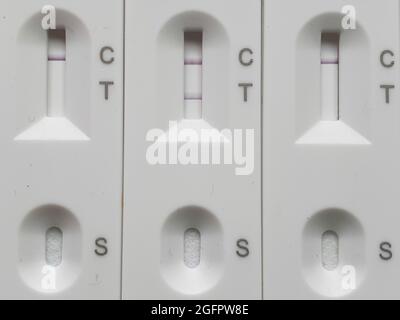 Sussex, Großbritannien, 26. August 2021: Ein positiver lateraler Durchflusstest zeigt eine deutliche Doppellinie, die das Vorhandensein des Coronavirus auf der Abstrichprobe bestätigt. Zwei negative laterale Durchflusstests zeigen nur eine einzige Linie bei C für die Steuerung. Mit über 38,000 neuen positiven Tests in den letzten 24 Stunden steigen die Covid-19-Fälle wieder an. Anna Watson/Alamy Live News Stockfoto