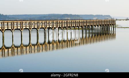 Olympia, WA, USA - 23. August 2021; die erhöhte Holzpromenade über das Gestrüppte am Billy J Frank Nisqually National Wildlife Refuge, Olympia Stockfoto