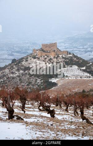 FRANKREICH. AUDE (11) WEINBERGE UND BURG AGUILAR CATHAR UNTER DEM SCHNEE (TUCHAN) IM HINTERGRUND Stockfoto